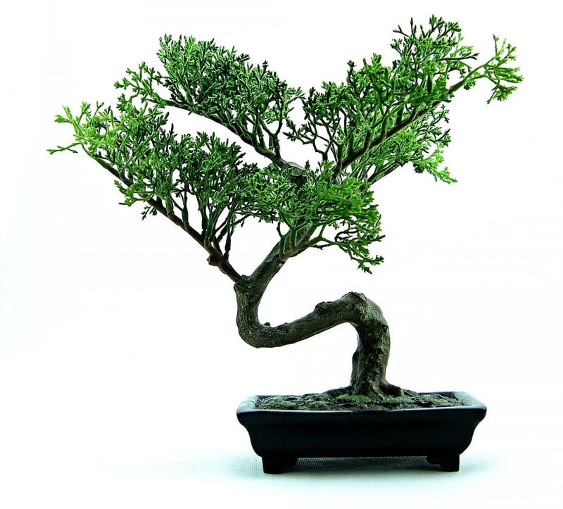 Garden Decor Crafts