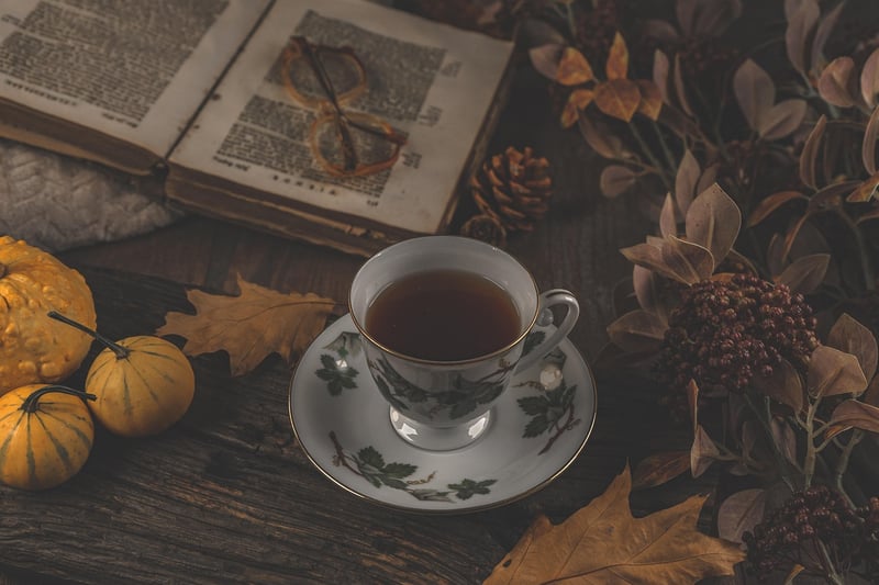 Teacup Mini Gardens